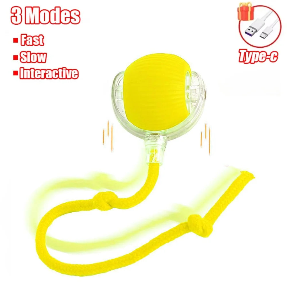 Cat Interactive Ball Toy Auto Rolling Ball with Tail Rechargeable