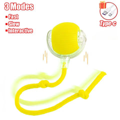 Cat Interactive Ball Toy Auto Rolling Ball with Tail Rechargeable