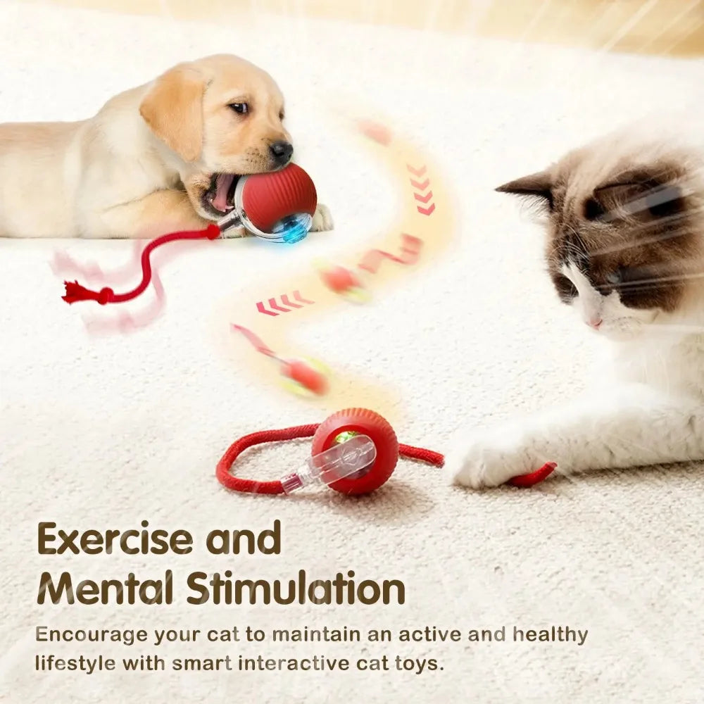Cat Interactive Ball Toy Auto Rolling Ball with Tail Rechargeable