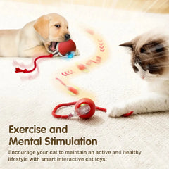 Cat Interactive Ball Toy Auto Rolling Ball with Tail Rechargeable