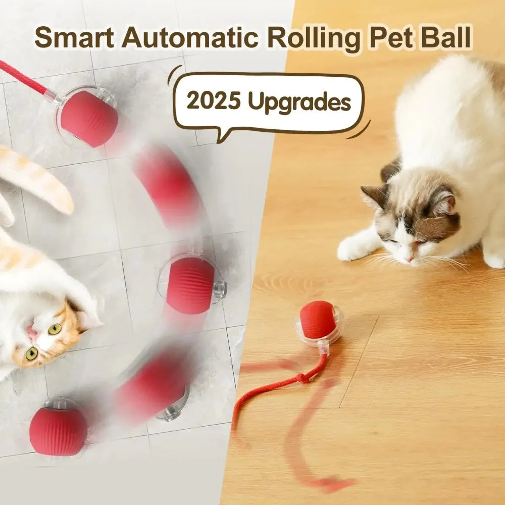 Cat Interactive Ball Toy Auto Rolling Ball with Tail Rechargeable
