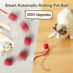 Cat Interactive Ball Toy Auto Rolling Ball with Tail Rechargeable