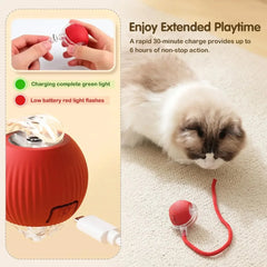 Cat Interactive Ball Toy Auto Rolling Ball with Tail Rechargeable