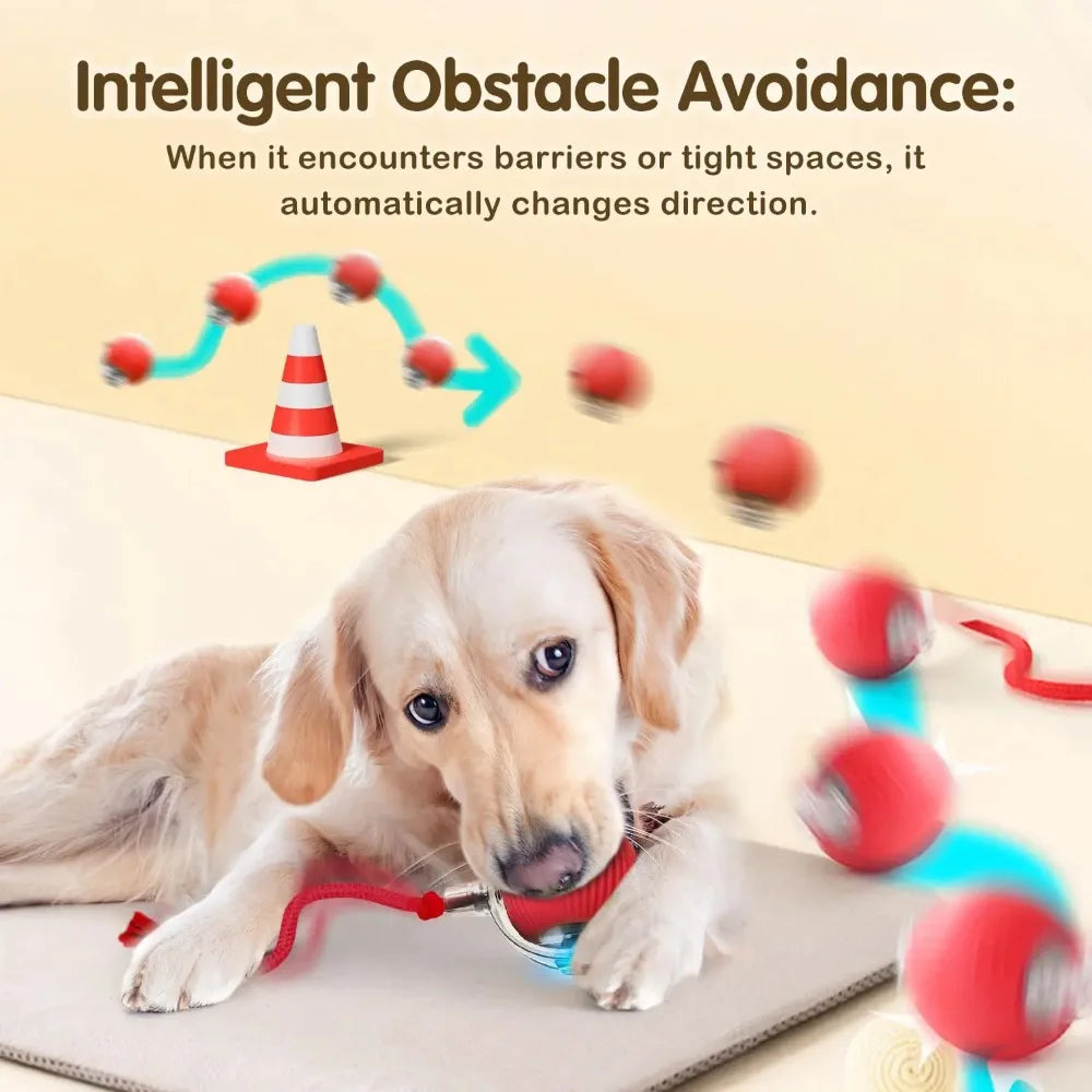 Cat Interactive Ball Toy Auto Rolling Ball with Tail Rechargeable